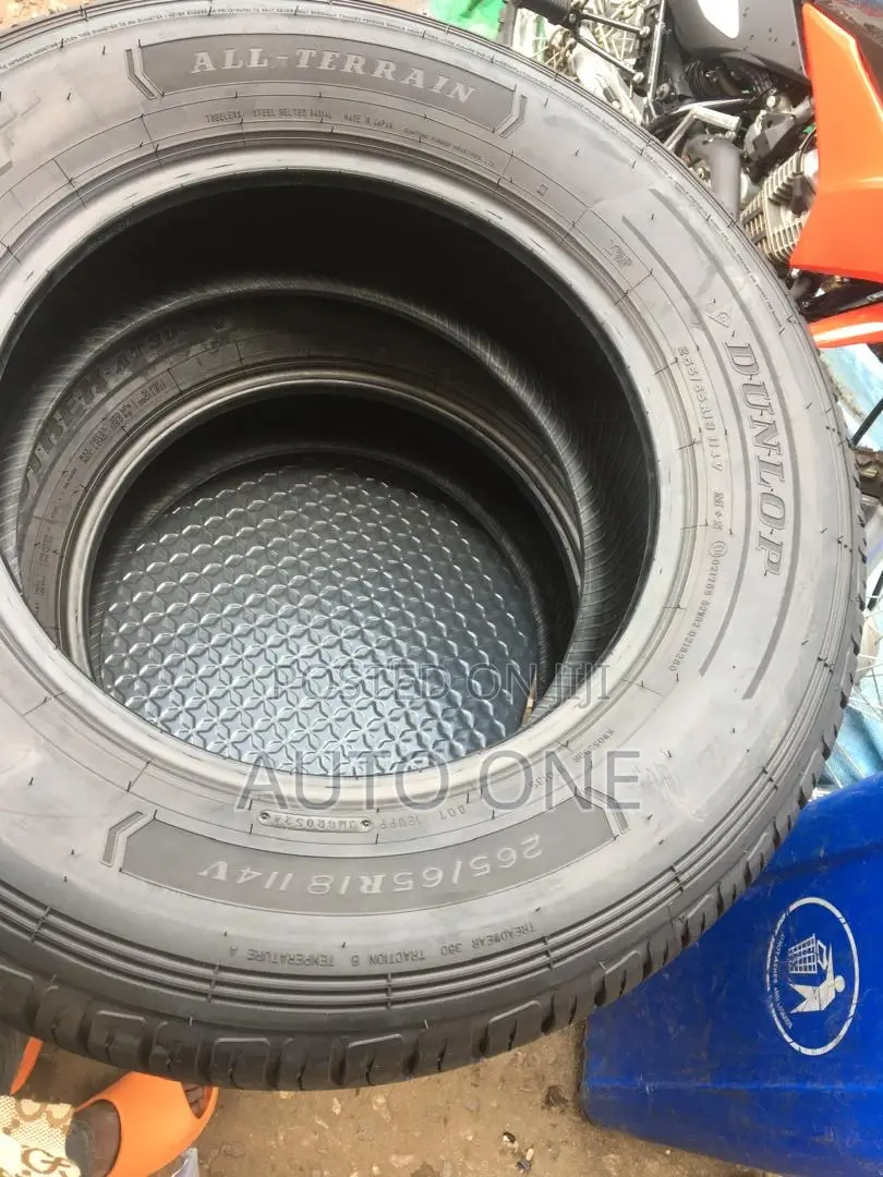 265/65r18 Dunlop Tyre