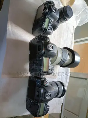 Canon Eos 7d With Big Lens