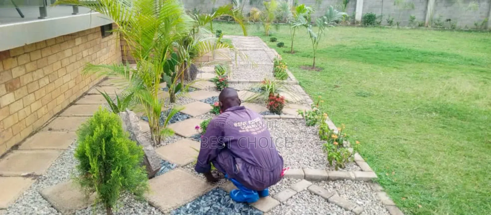Expert Compound Designing and Land Scaping Where Art Meets Nature