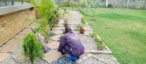 Expert Compound Designing and Land Scaping Where Art Meets Nature