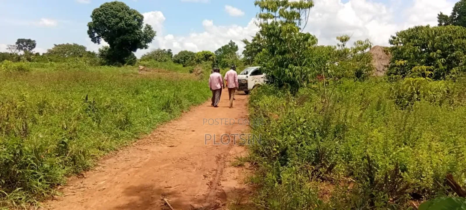 10 Acres of Fertile Land for Sale – Buyende District, 6.5m Per Acre