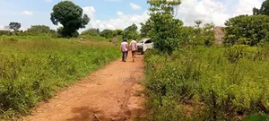 10 Acres of Fertile Land for Sale – Buyende District, 6.5m Per Acre
