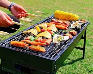 Heavy Duty Portable Green Foldable Charcoal BBQ Grill