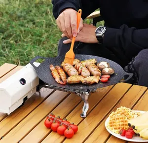 Portable 2600w Camping Gas Stove
