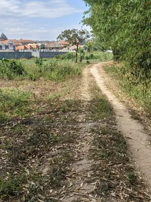 37 Decimals Plot of Land in Kyanja Kungu
