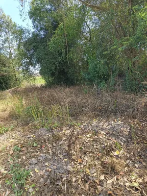 37 Decimals Plot of Land in Kyanja Kungu