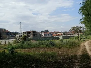 37 Decimals Plot of Land in Kyanja Kungu
