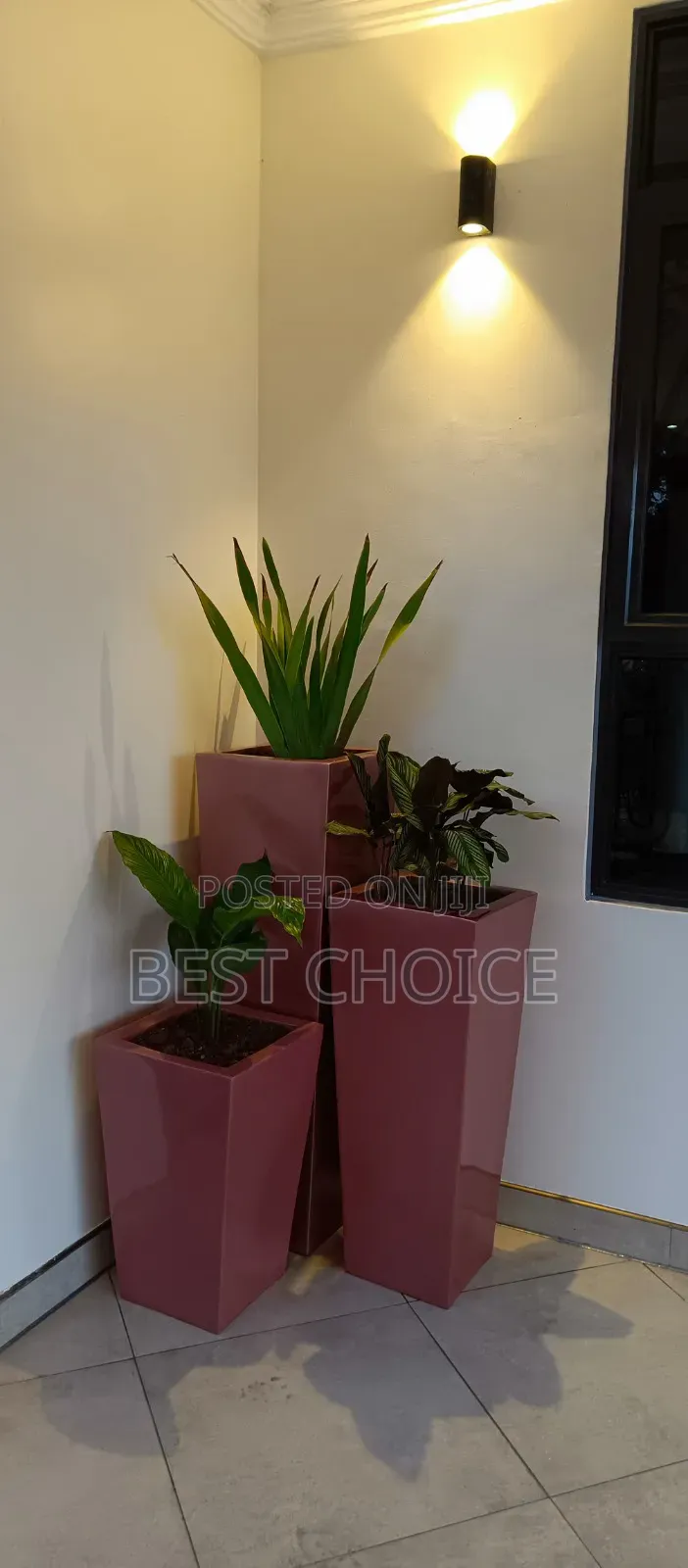 Amazing Flowers and Plants,Gardeners Bringing Life to Your Property