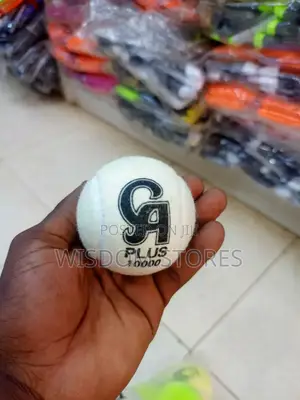 12pcs Ca Plus 10000 Cricket Tennis Ball.
