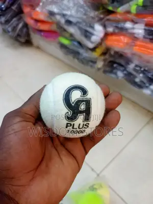 12pcs Ca Plus 10000 Cricket Tennis Ball.
