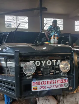 Denis Car and House Glass Tints