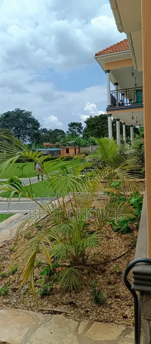 Expert Land Scaping Services Beautifying Your Property