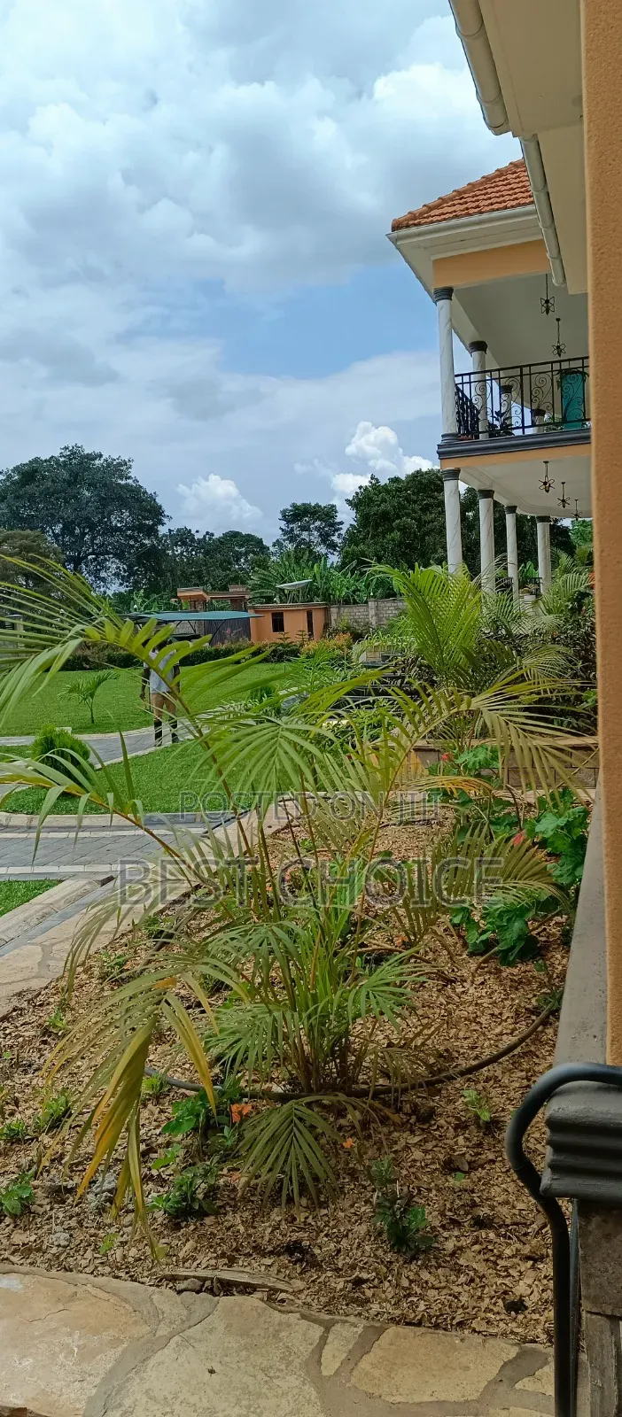 Expert Land Scaping Services Beautifying Your Property