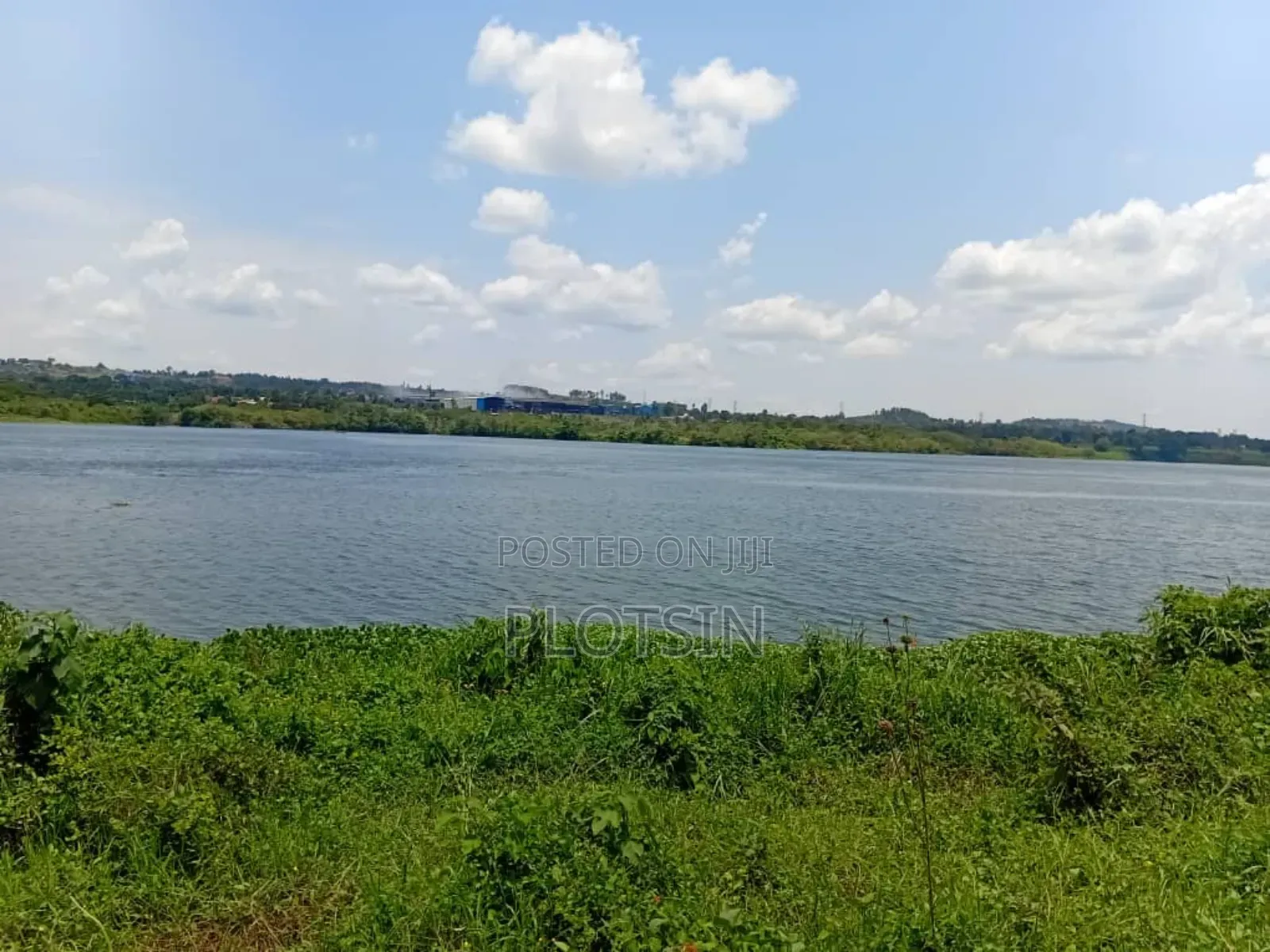 1.7 Acres,Freehold Titled Land, Fenced With a Workers' House,On R.Nile