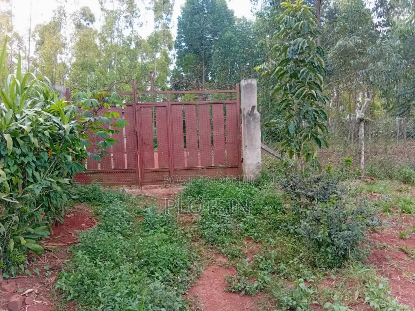 1.7 Acres,Freehold Titled Land, Fenced With a Workers' House,On R.Nile