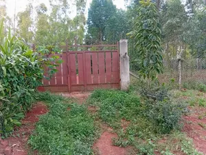 1.7 Acres,Freehold Titled Land, Fenced With a Workers' House,On R.Nile