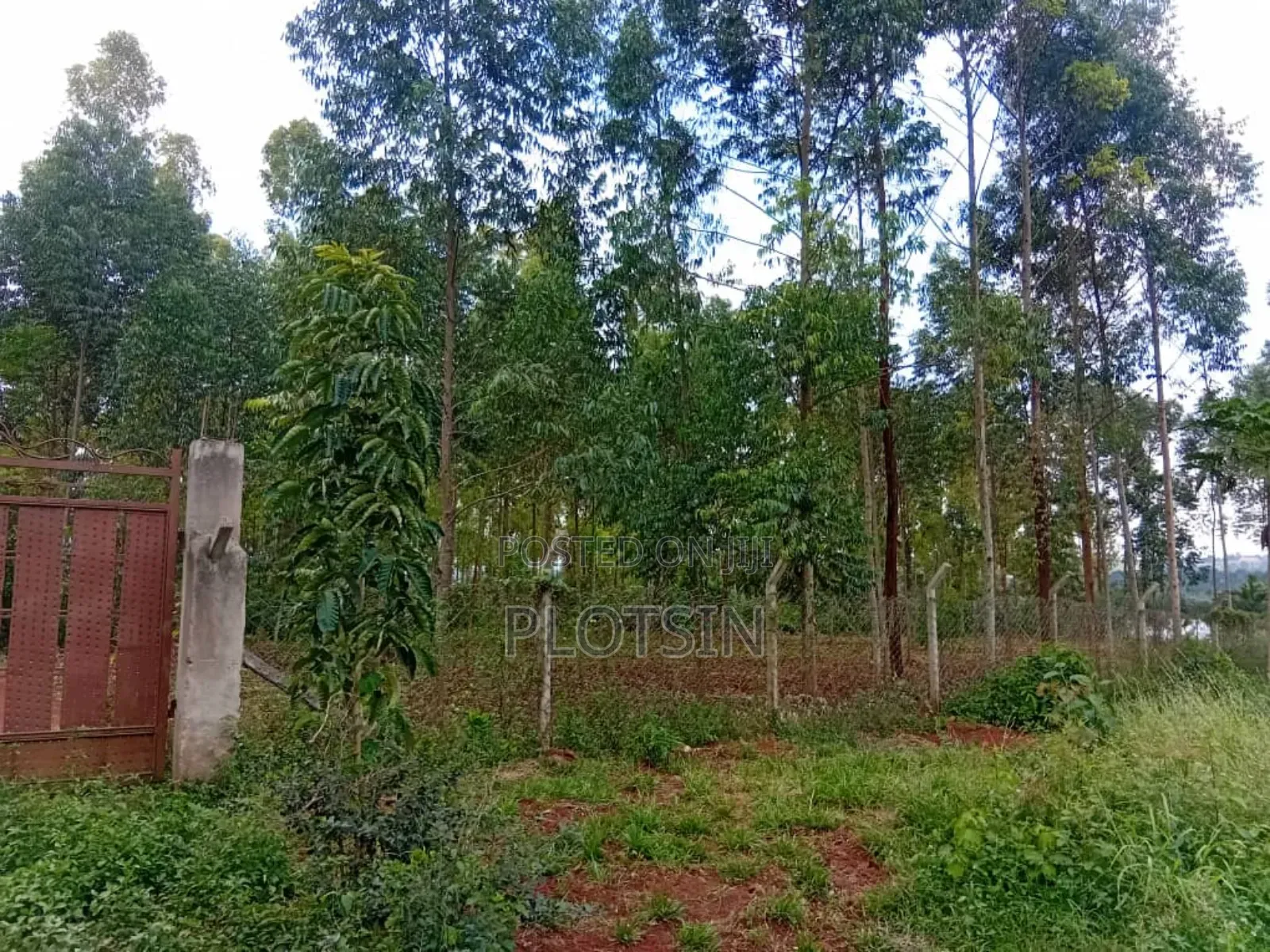1.7 Acres,Freehold Titled Land, Fenced With a Workers' House,On R.Nile