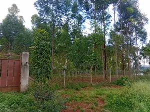 1.7 Acres,Freehold Titled Land, Fenced With a Workers' House,On R.Nile
