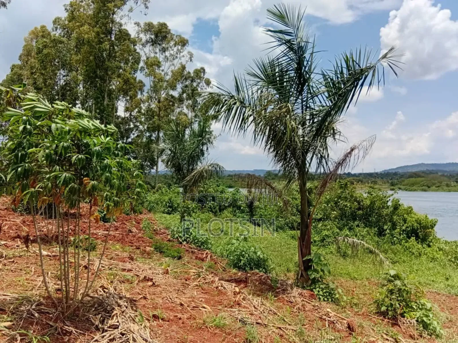 1.7 Acres,Freehold Titled Land, Fenced With a Workers' House,On R.Nile