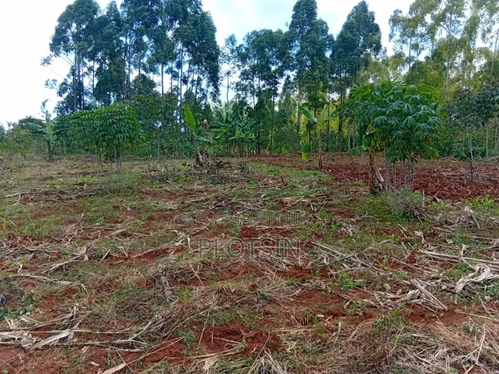 1.7 Acres,Freehold Titled Land, Fenced With a Workers' House,On R.Nile