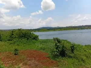 1.7 Acres,Freehold Titled Land, Fenced With a Workers' House,On R.Nile