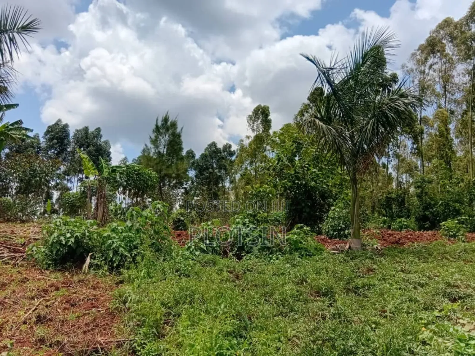 1.7 Acres,Freehold Titled Land, Fenced With a Workers' House,On R.Nile