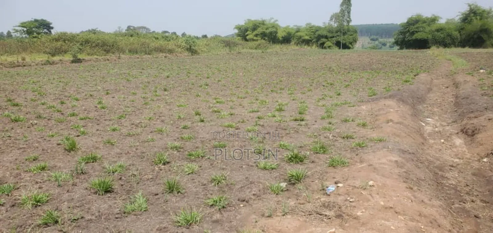 3 Acres Touching the River Nile,Kangulumira, Priced 190million Ugx.