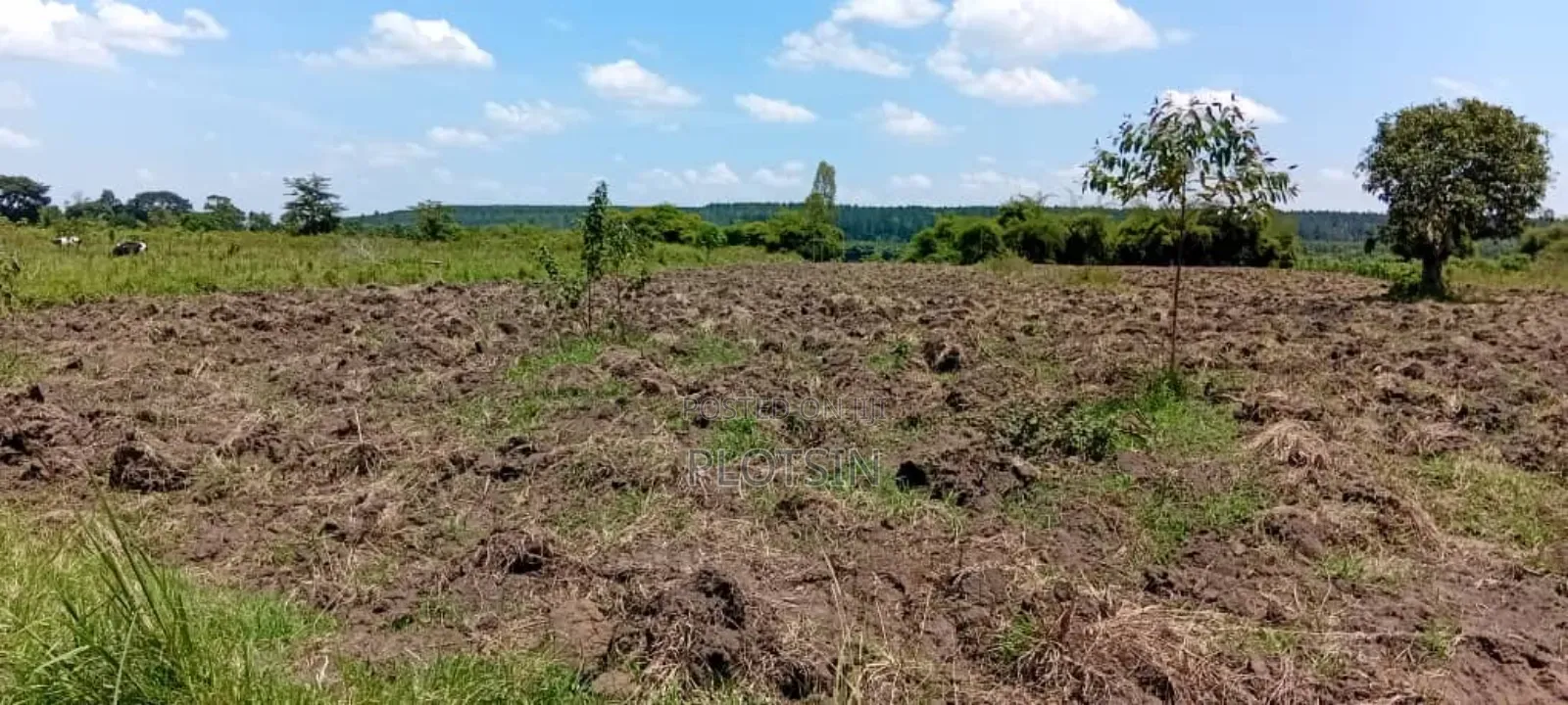 3 Acres Touching the River Nile,Kangulumira, Priced 190million Ugx.