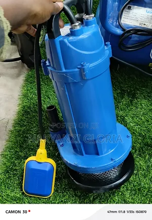 Submersible Pump(Qdx 1.5-32-750f)