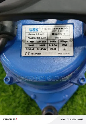Submersible Pump(Qdx 1.5-32-750f)