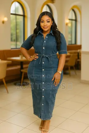 Ladies Denim Dresses