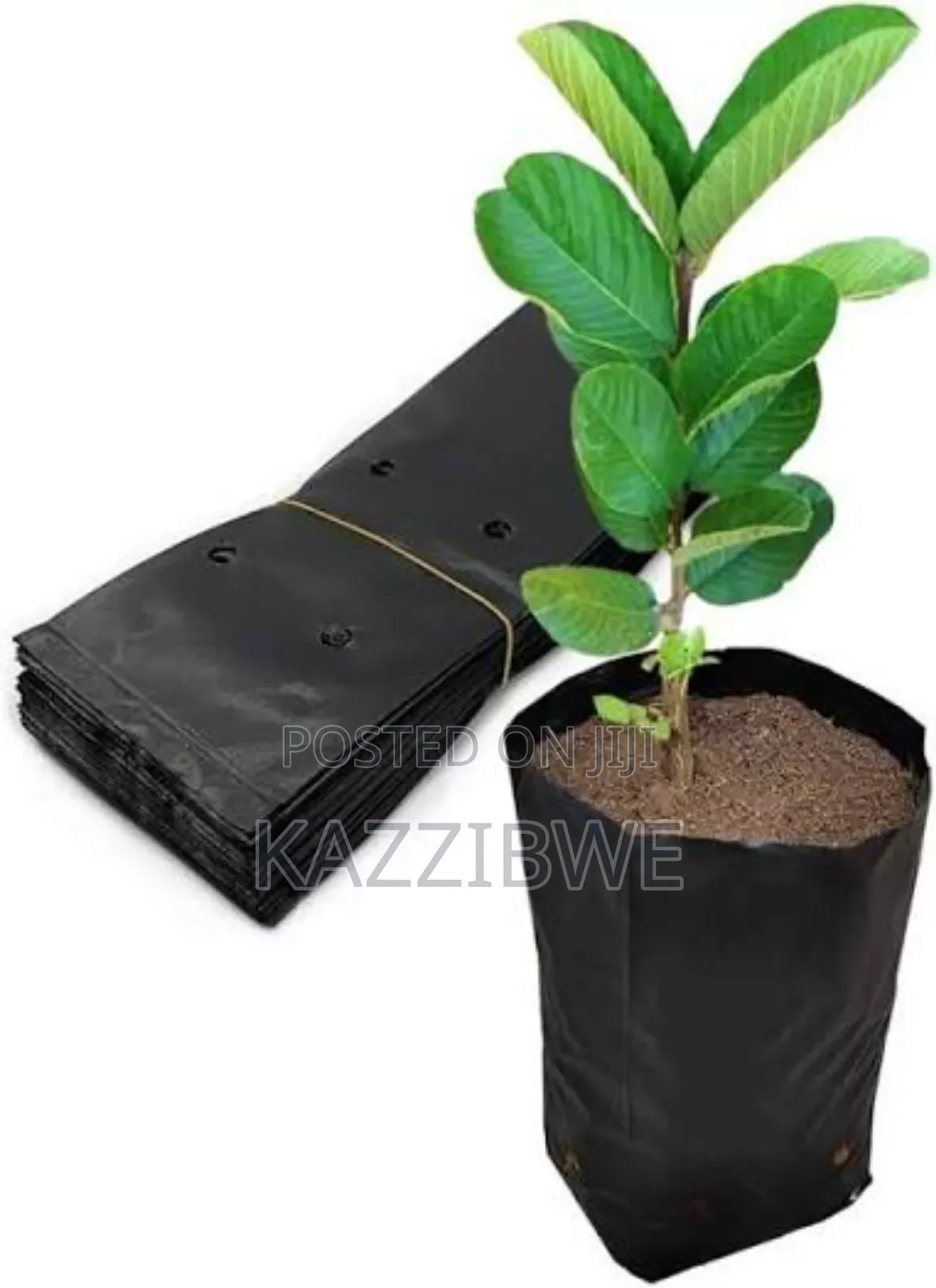 Potting Bags and Rolls All Sizes
