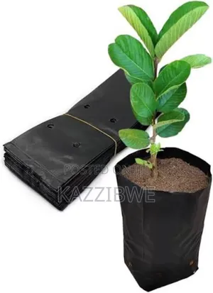 Potting Bags and Rolls All Sizes