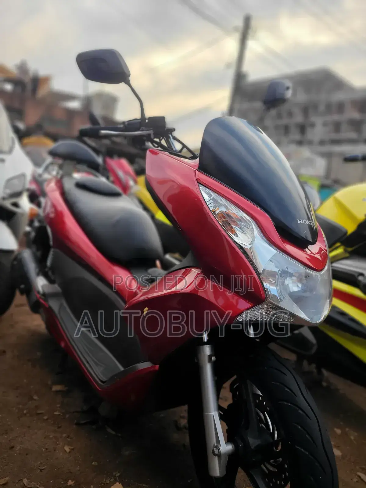Honda Ignition 2022 Orange