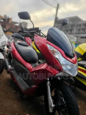 Honda Ignition 2022 Orange