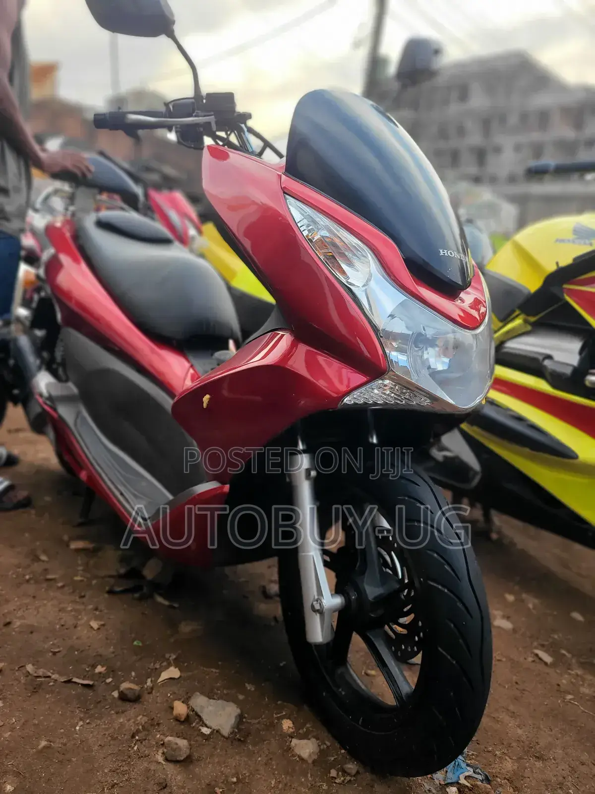 Honda Ignition 2022 Orange
