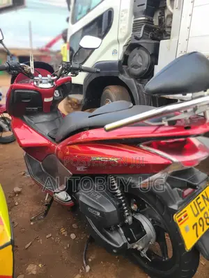 Honda Ignition 2022 Orange