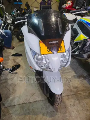 New Honda Forza 2023 White