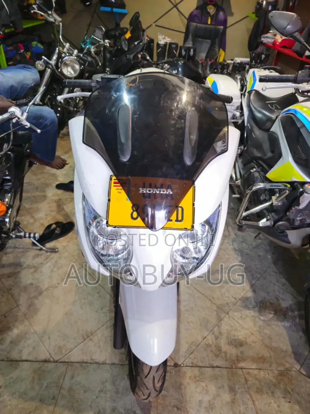 New Honda Forza 2023 White