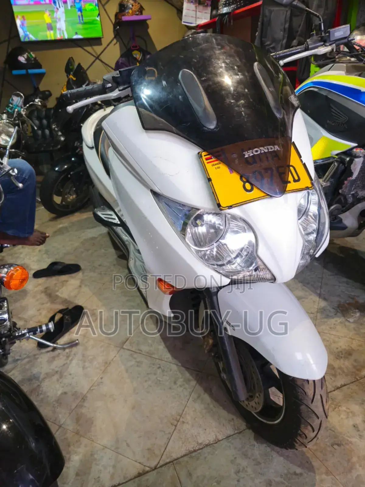New Honda Forza 2023 White