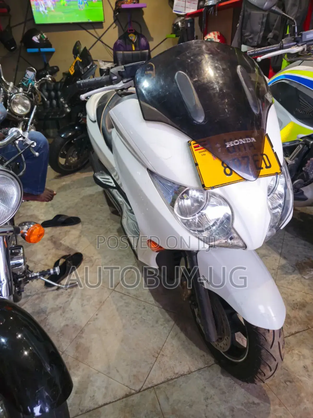 New Honda Forza 2023 White
