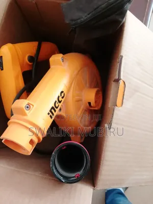 Blower Motor