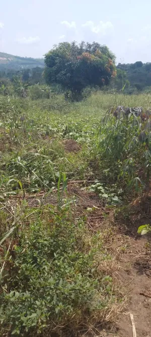 1.5 Square Miles for Sale in Luweero-Kiwoko Each Acre Is at 15m