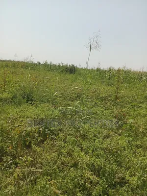 1.5 Square Miles for Sale in Luweero-Kiwoko Each Acre Is at 15m