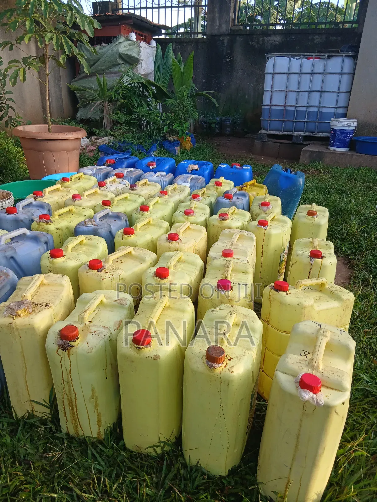 Feed Grade Molasses