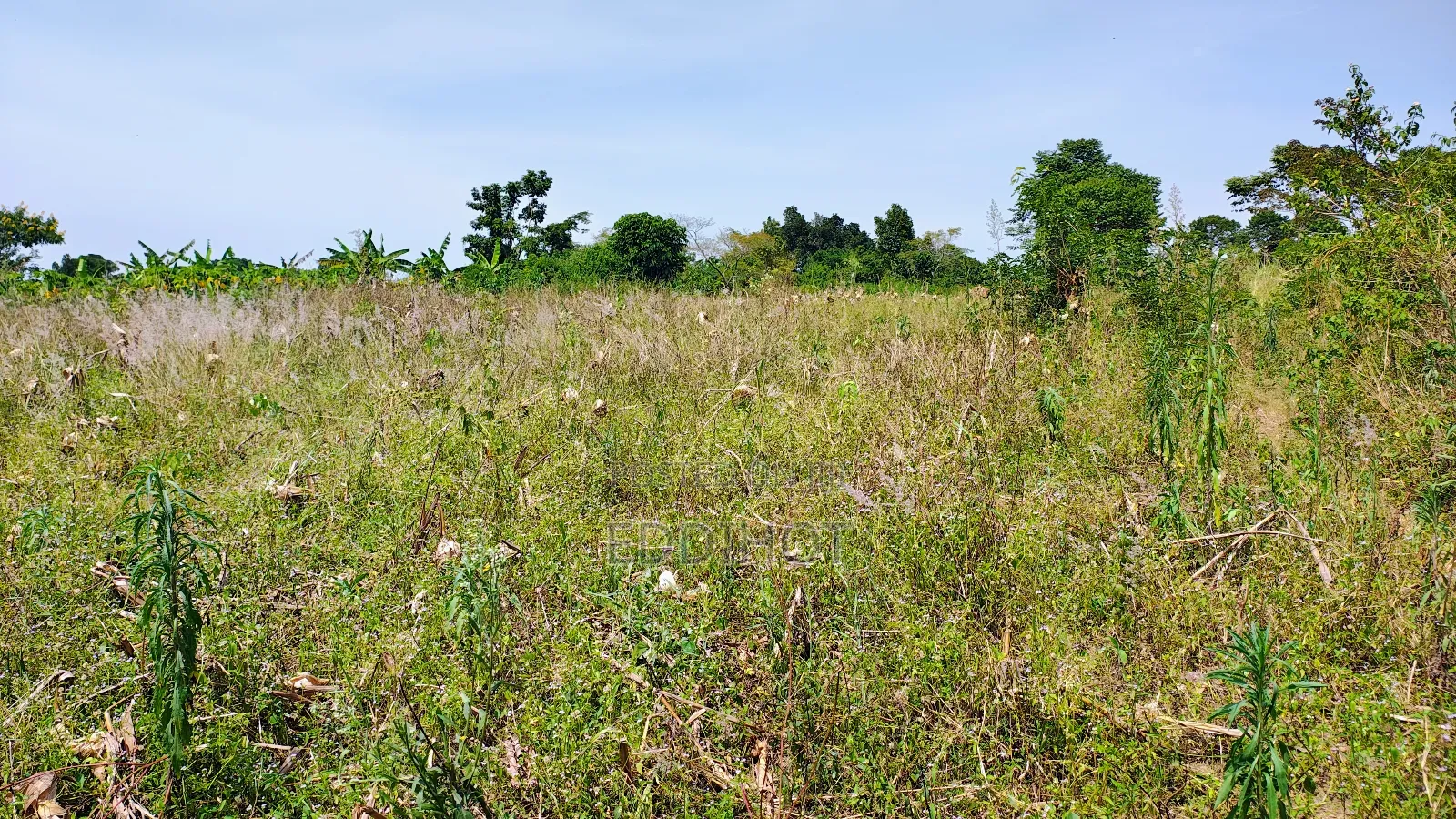 One and Half Acre in Bombo Kalule at 43m Good for Farming.