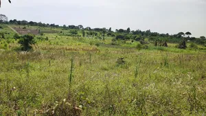 One and Half Acre in Bombo Kalule at 43m Good for Farming.
