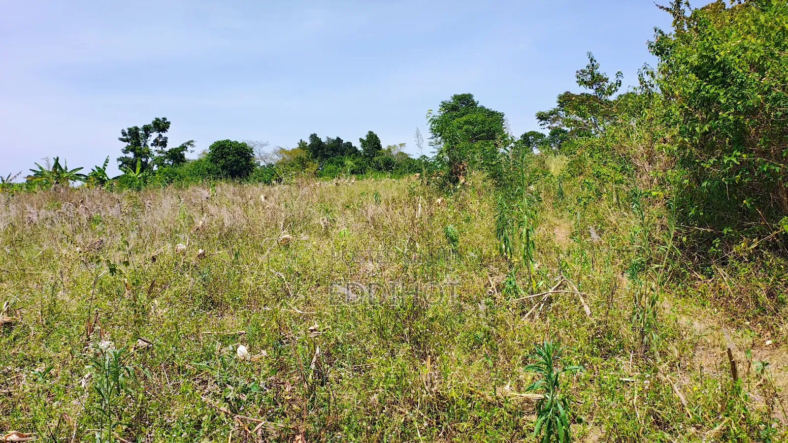 One and Half Acre in Bombo Kalule at 43m Good for Farming.