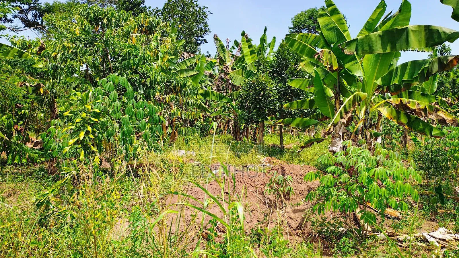 One and Half Acre in Bombo Kalule at 43m Good for Farming.