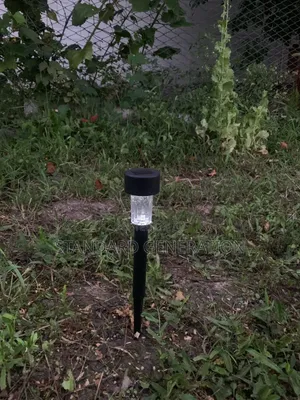 Decorative Solar Garden Lights